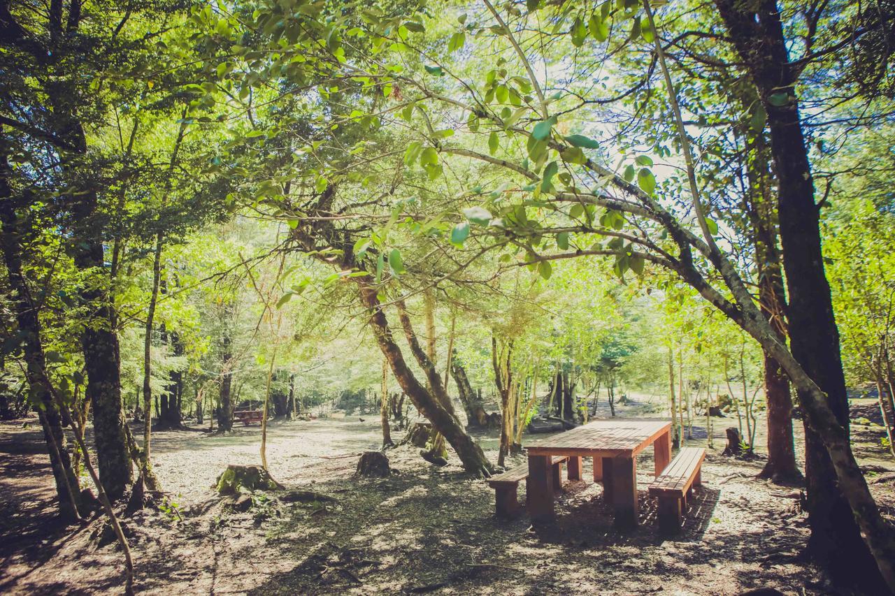 Villa Llaima Camp à Curacautín Extérieur photo