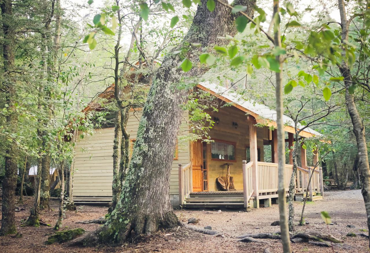 Villa Llaima Camp à Curacautín Extérieur photo